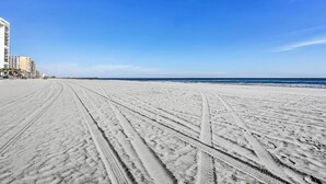 A beach with visible tire tracks and a clear blue sky. - Oceanfront Myrtle Beach Getaway w/ Balcony (Myrtle Beach)