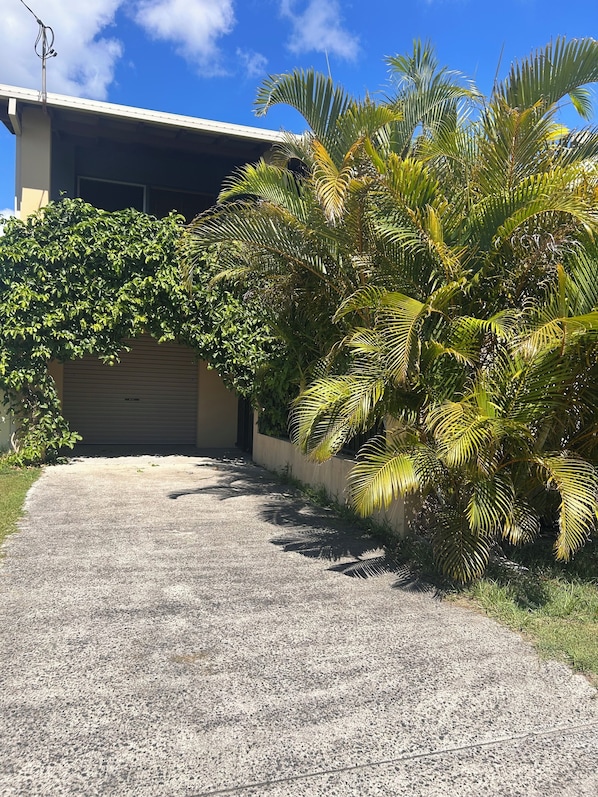 A paved driveway leading to a building with a garage door, surrounded by lush greenery and palm trees.