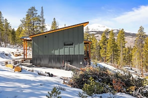 A cabin with a sloped roof, a small window, and a wooden deck. - 2BR New Home in Twin Lakes, Views, Pet Friendly (Twin Lakes)