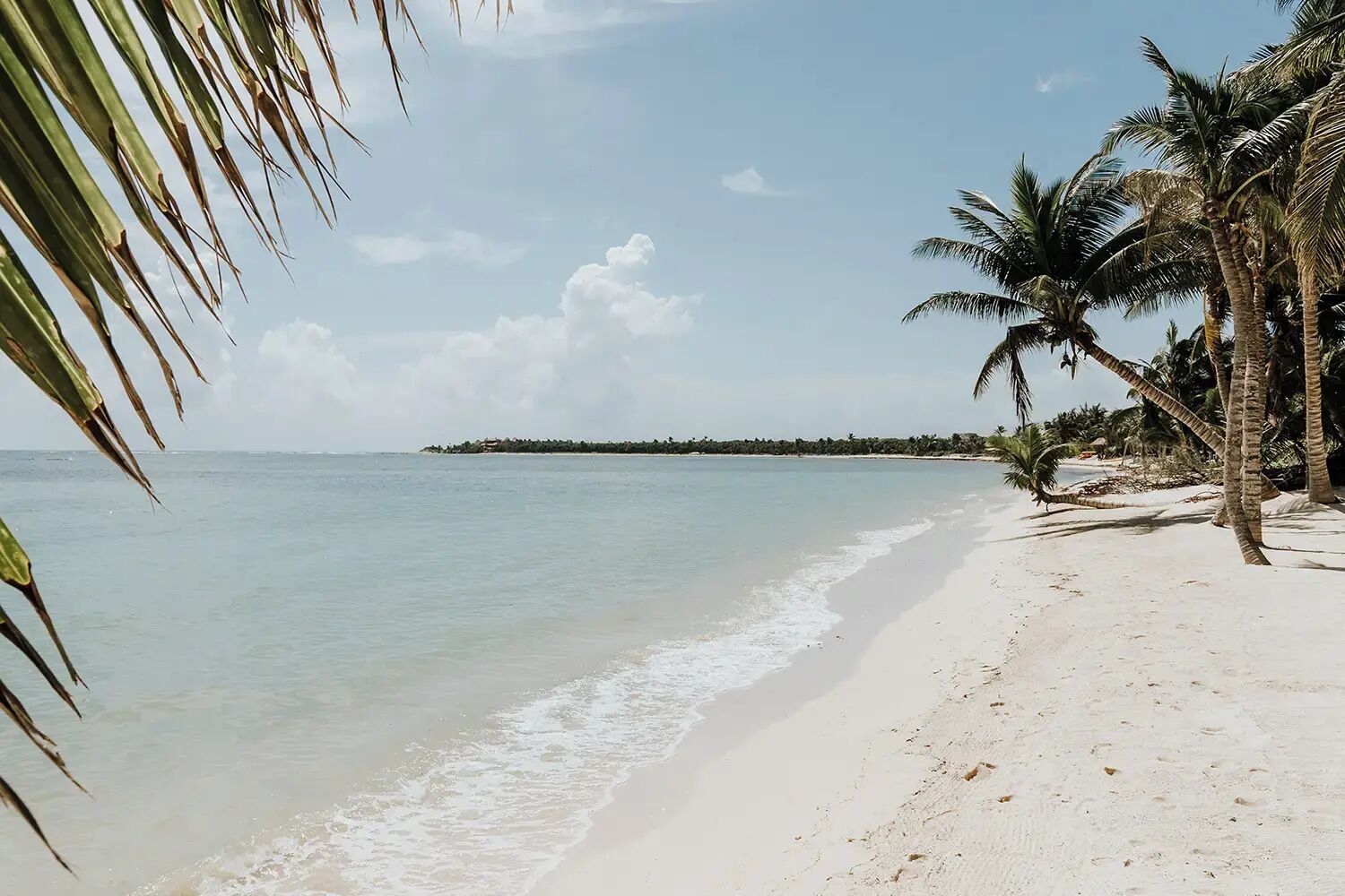 A beach with white sand, clear blue water, and palm trees.