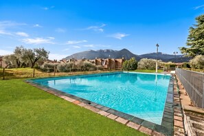 Una piscina rectangular con superficie de agua azul cristalina, rodeada por un césped cuidado y una valla de metal.