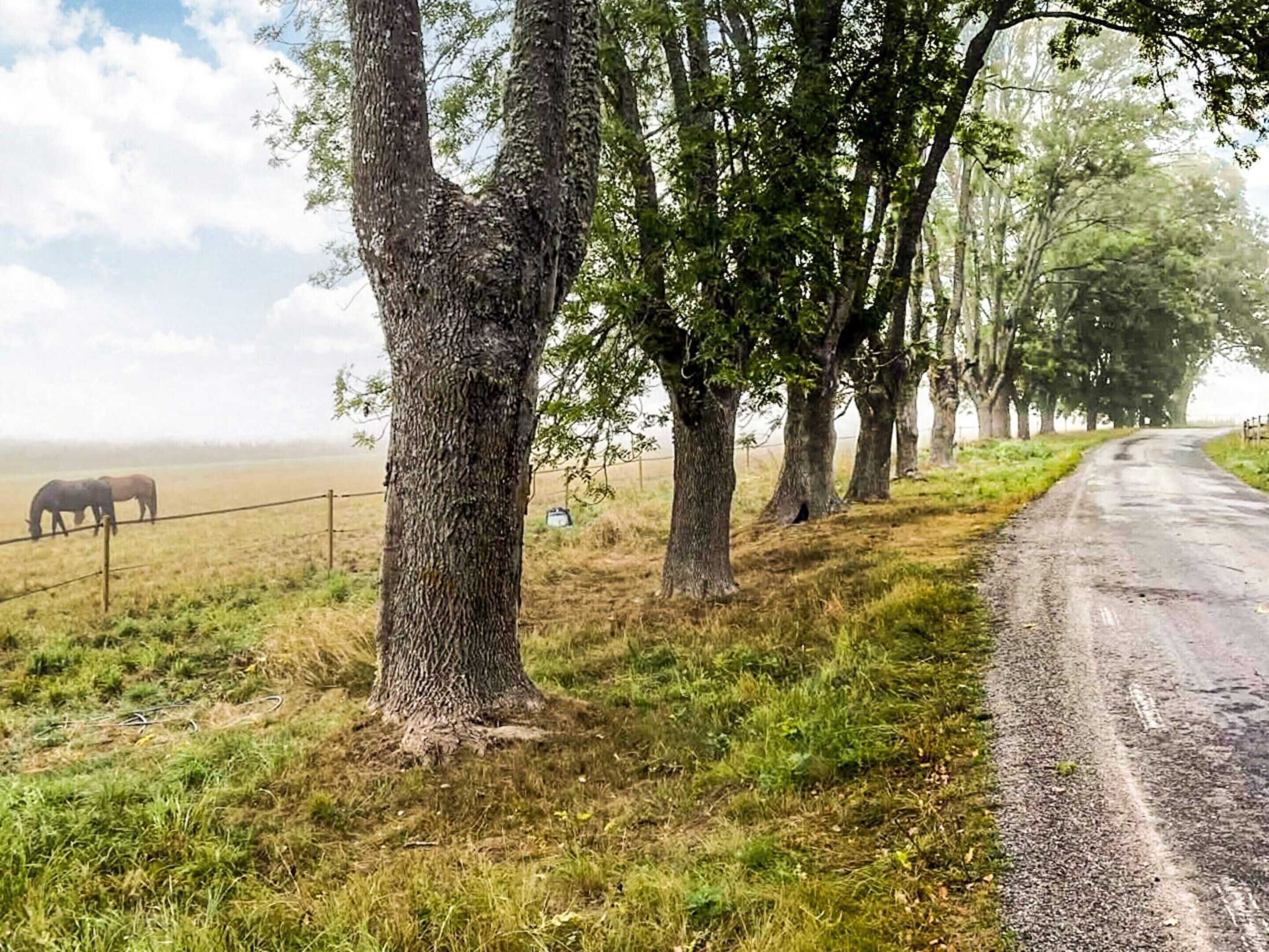 Hus | Exteriör