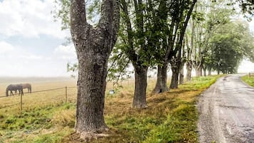 Hus | Exteriör
