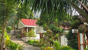 A tropical garden with a pathway leading to a building with a red roof. - Alicia resort (Koh Rong)