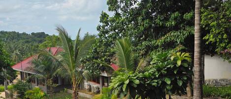 A residential area with houses, lush greenery, and a paved road.