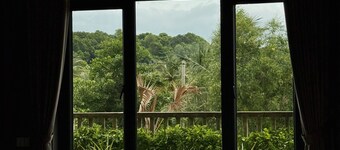 Alicia resort