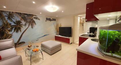 Separate apartment in attractive villa