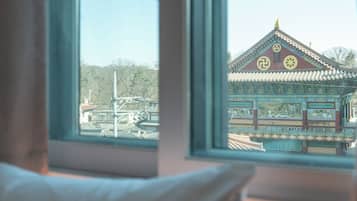 Deluxe Single Room, City View | Interior