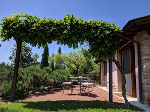 Phòng đôi Deluxe, quang cảnh vườn nho | Quang cảnh từ phòng