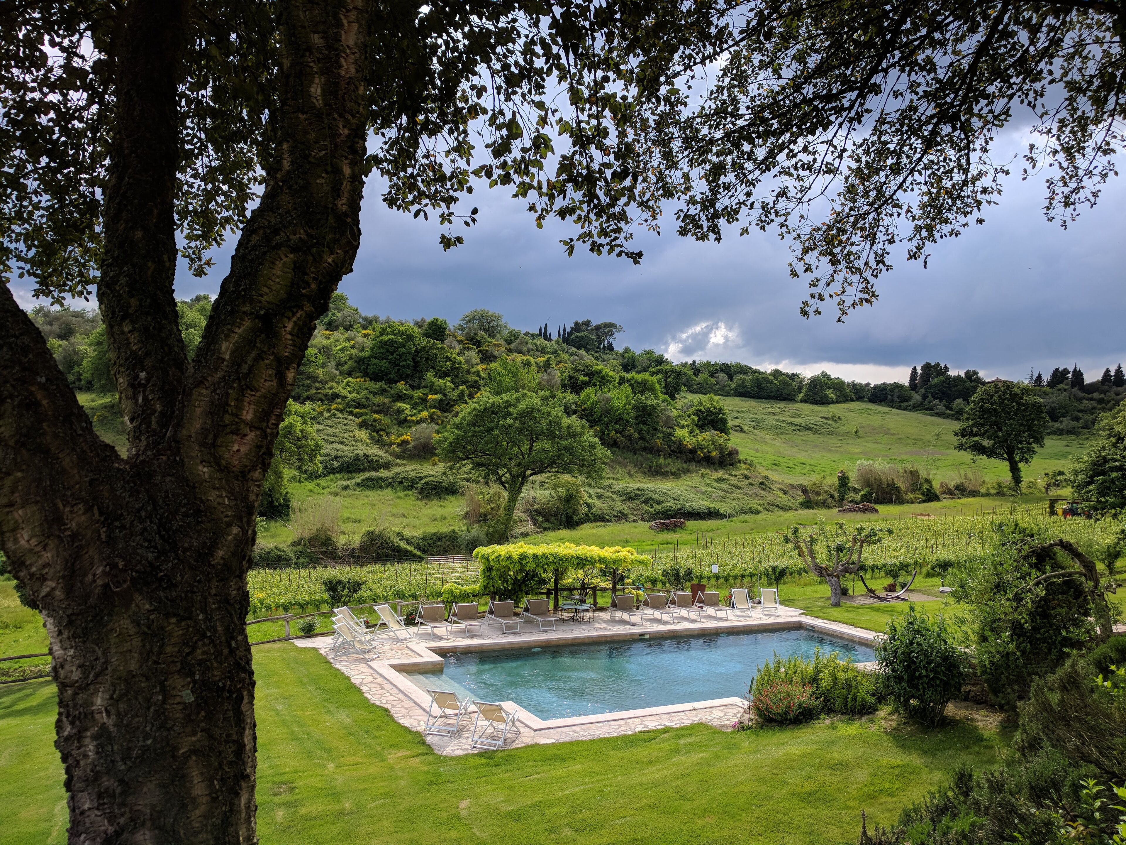 A pool with lounge chairs, surrounded by a well-maintained lawn and trees.