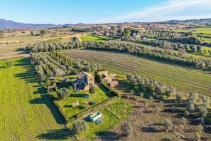 Vista aérea de un viñedo con hileras de vides, una casa de piedra y un pequeño edificio con techo verde.
