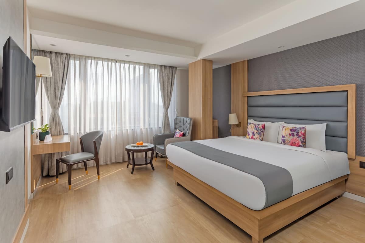 Habitación de hotel con una cama grande, un escritorio con televisor, dos sillas, una mesita redonda con una planta y una ventana con cortinas.