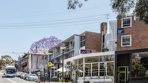 A street view with a café, a bus, and parked cars. - Wake up to Sydney Harbour (Balmain East)