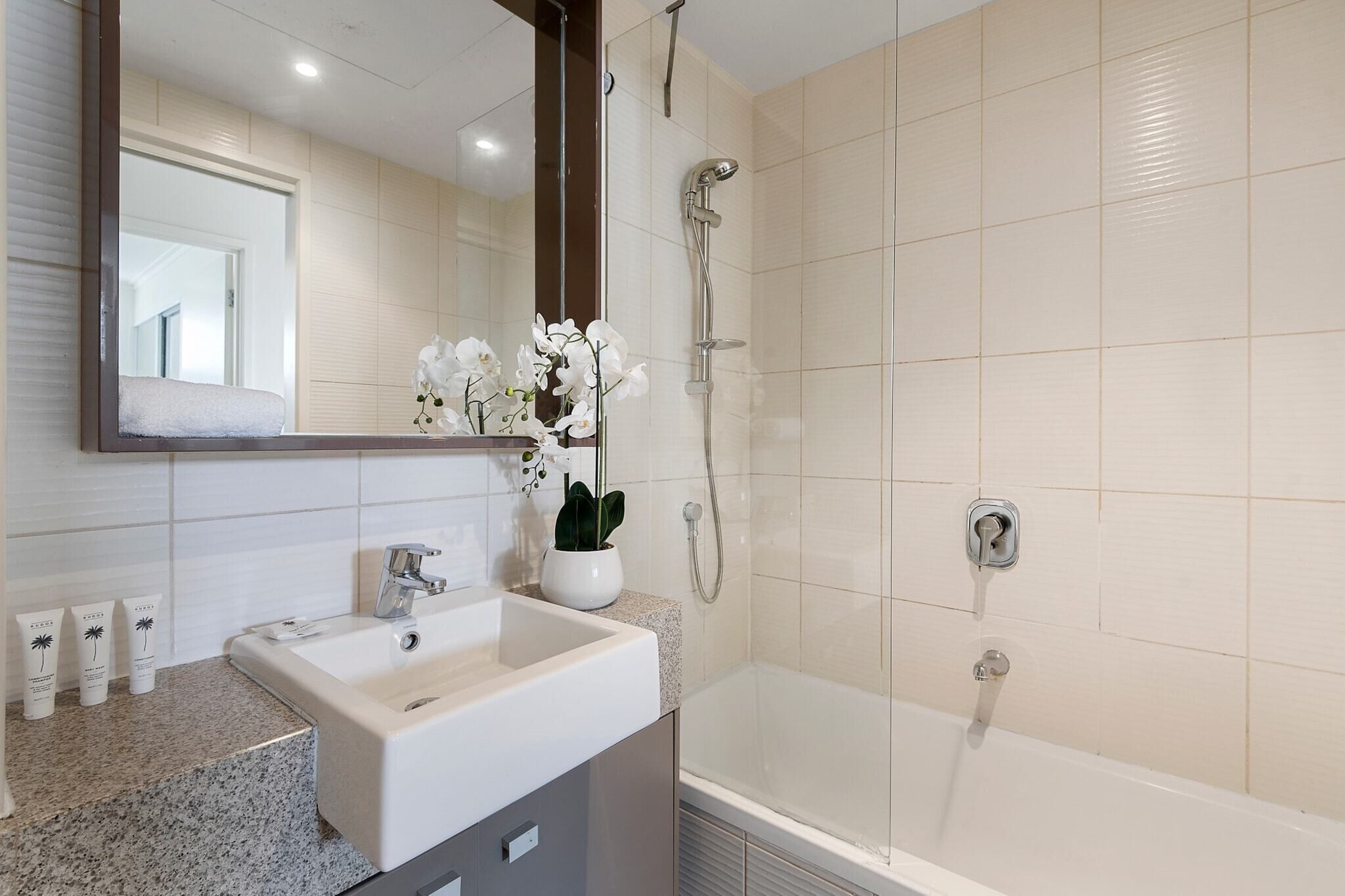 Shower, hair dryer