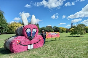 Property grounds - Cosy Sun-Filled Cottage (Tenterfield)