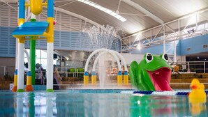 An indoor water park with a large inflatable frog, water slides, and a pool. - Fun for Families: Location, Cinema, Games, Wifi (Leederville)