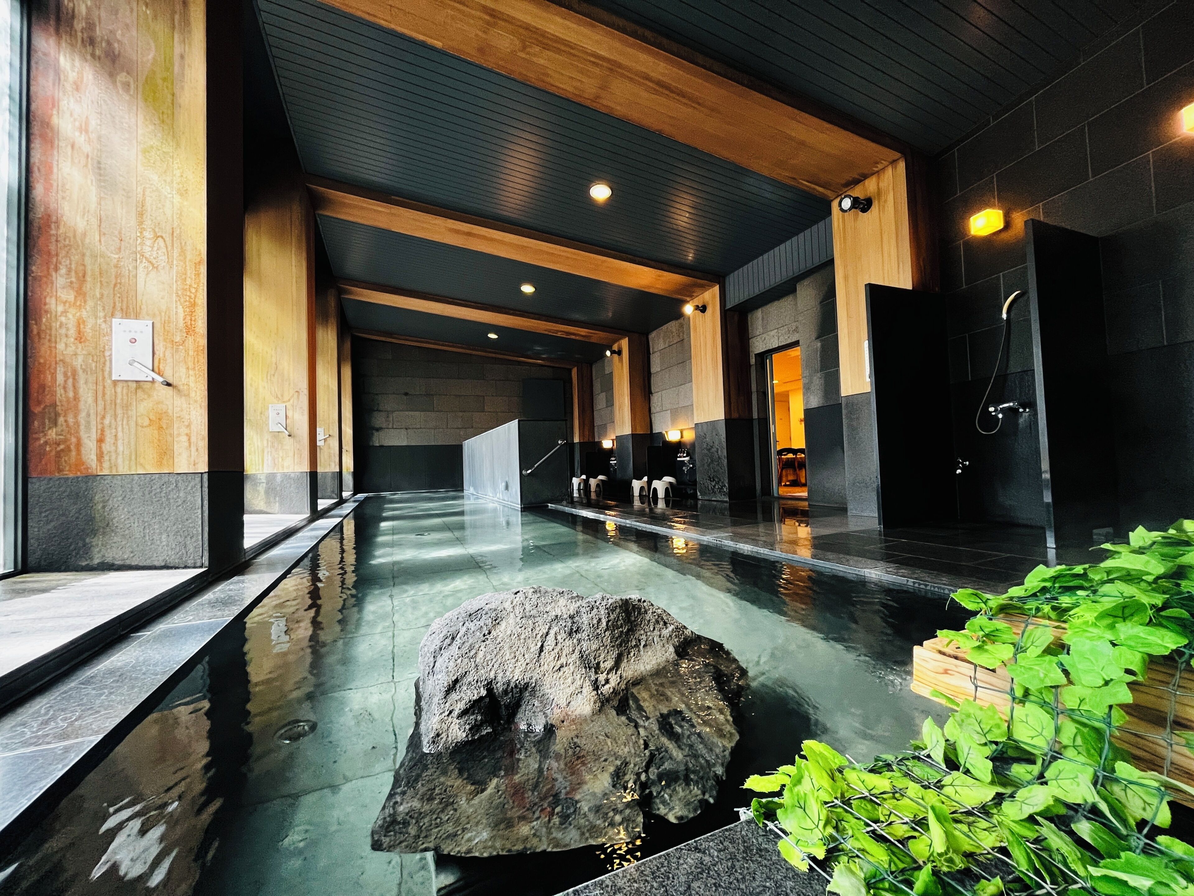 Wellness