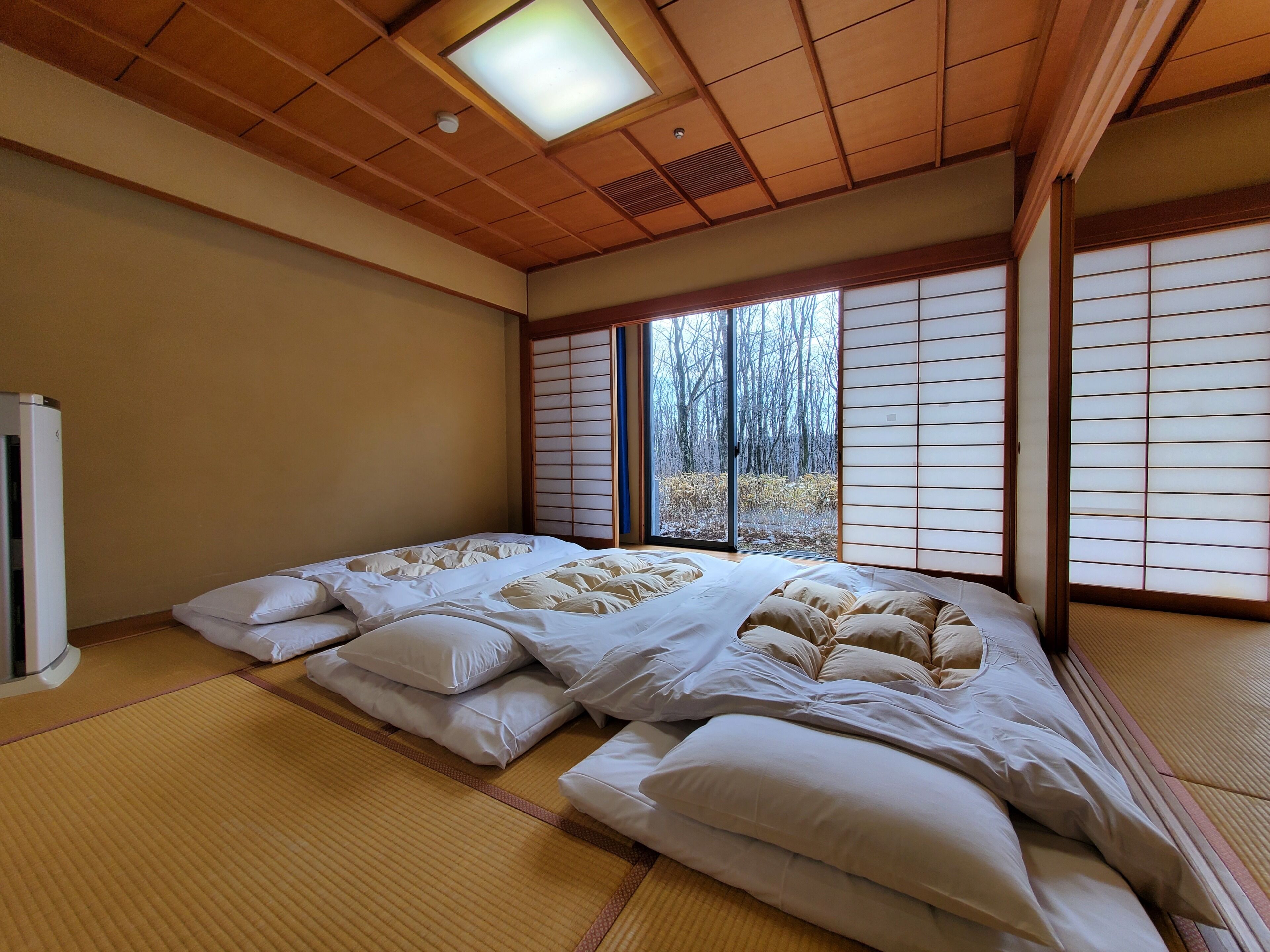A traditional Japanese room with tatami flooring, a bed with white bedding, sliding doors, and a view of trees.