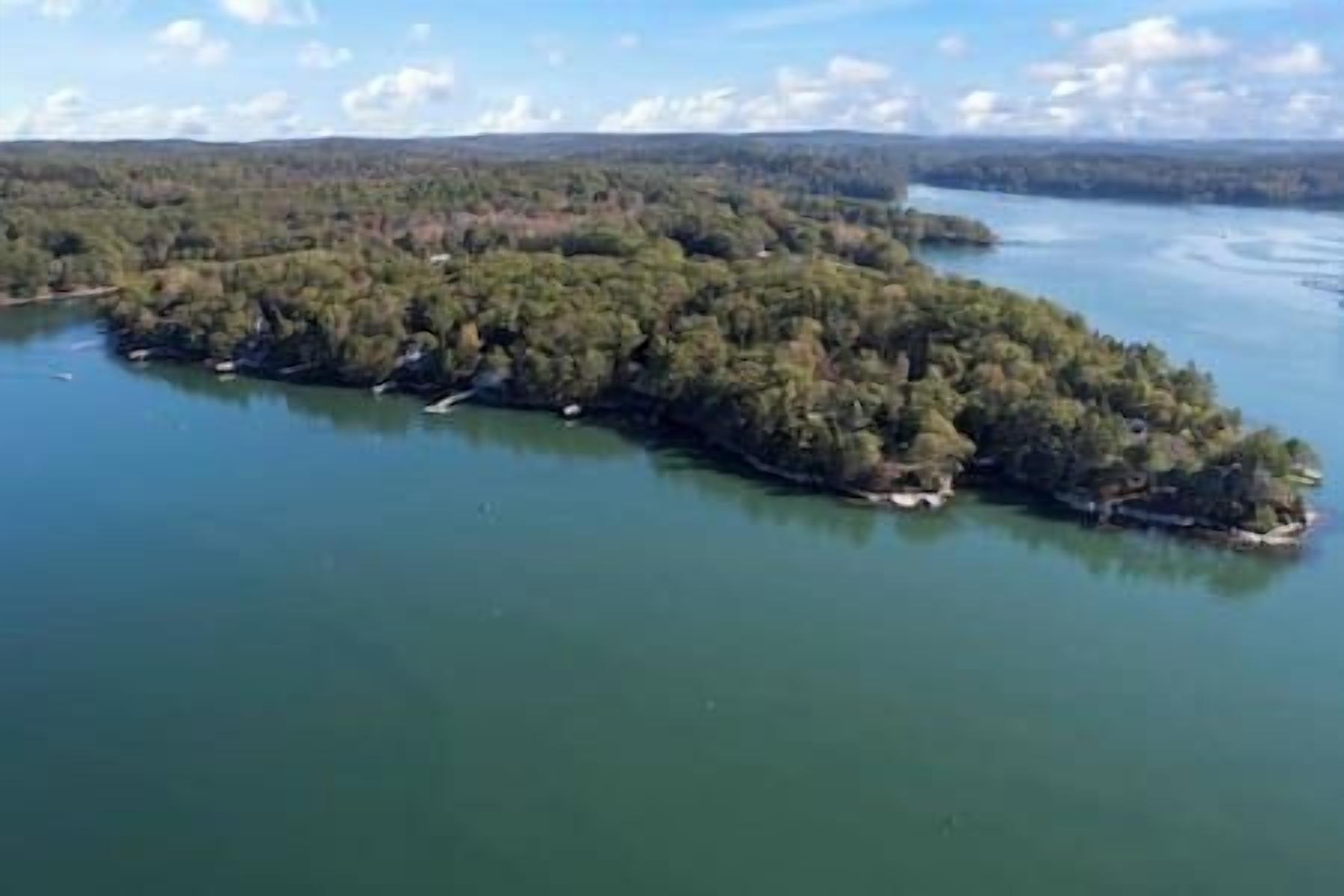 Vue aérienne d’une île boisée avec un lac.