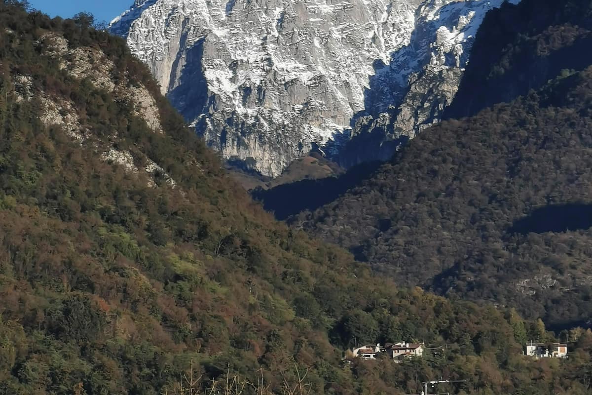 Phòng