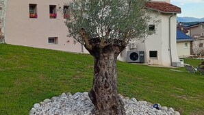 A building with a tree in front, a gravel path, and a clear sky. - Casa BORRIERO Farmhouse (Sospirolo)