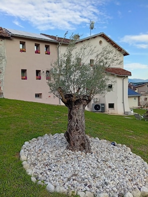Un bâtiment avec un arbre devant, un chemin de gravier et un ciel dégagé.