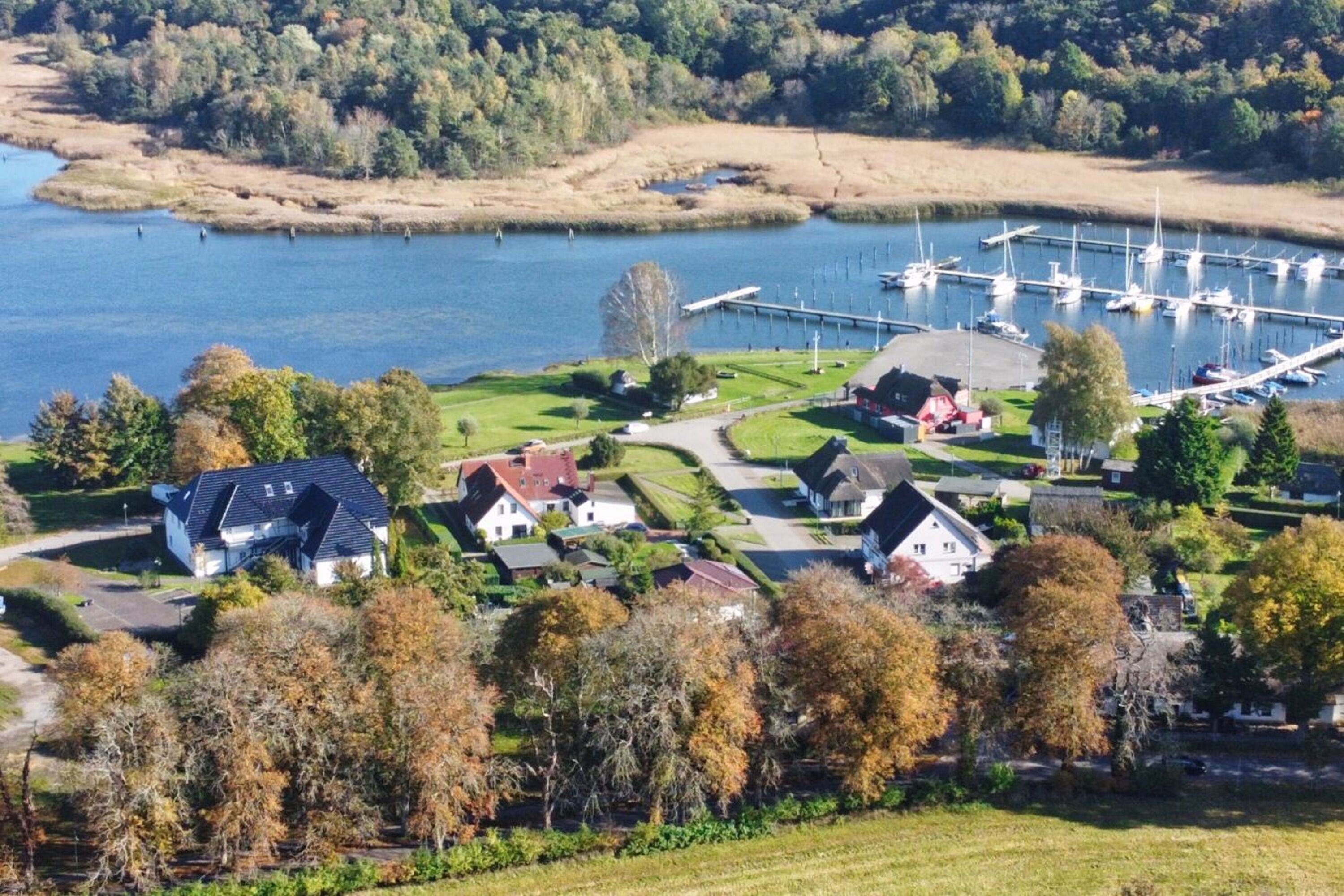 A lakeside property with houses, a marina, and a dock.