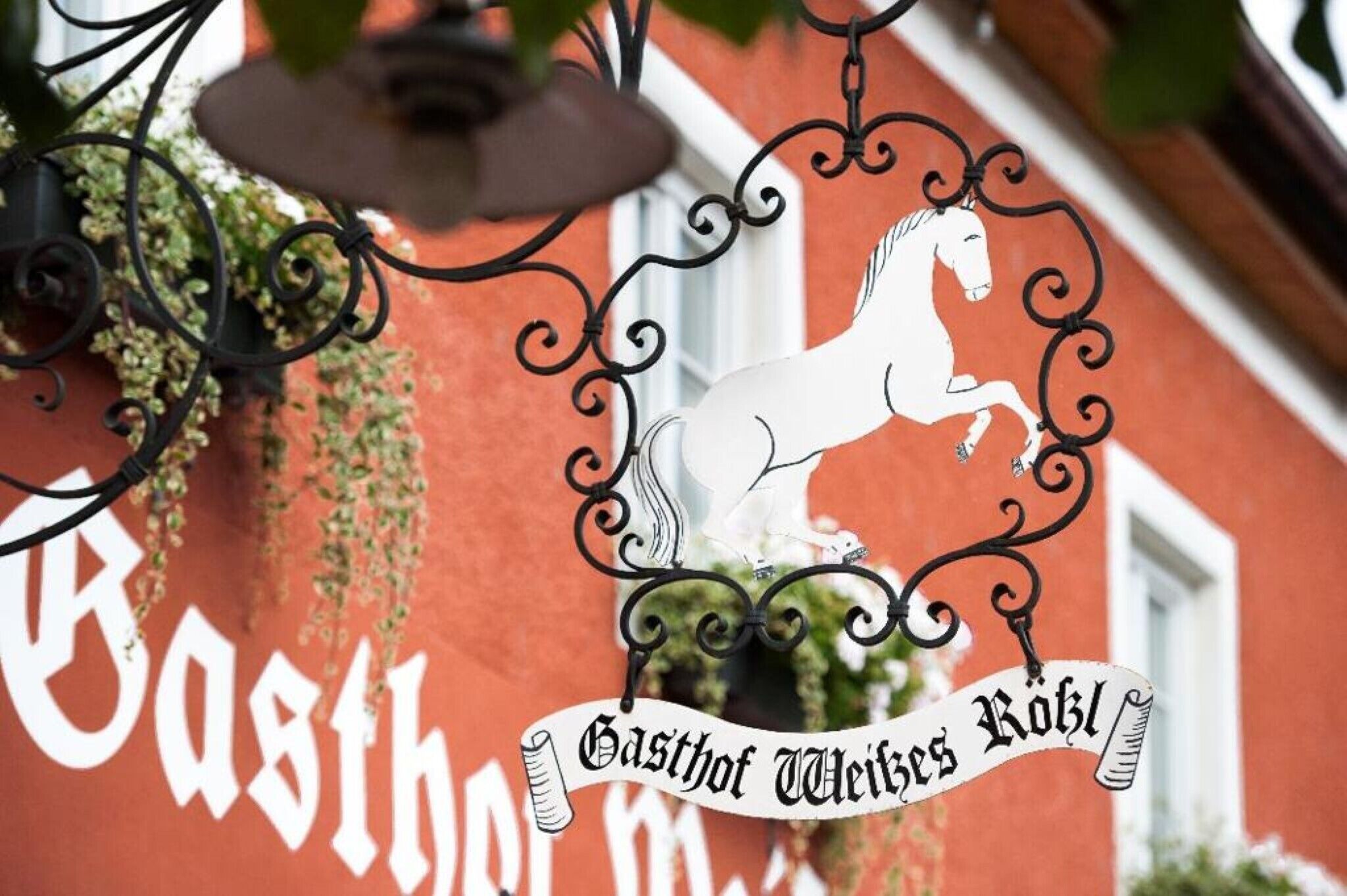A sign with a white horse and the text 'Gasthof Weisses Röhl' on a red building.