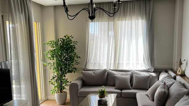 Un salon moderne avec un canapé, une table basse, une plante en pot et un téléviseur.