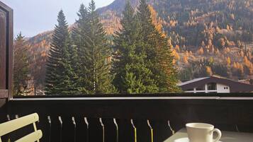 Classic Apartment, Mountain View | Outdoor dining