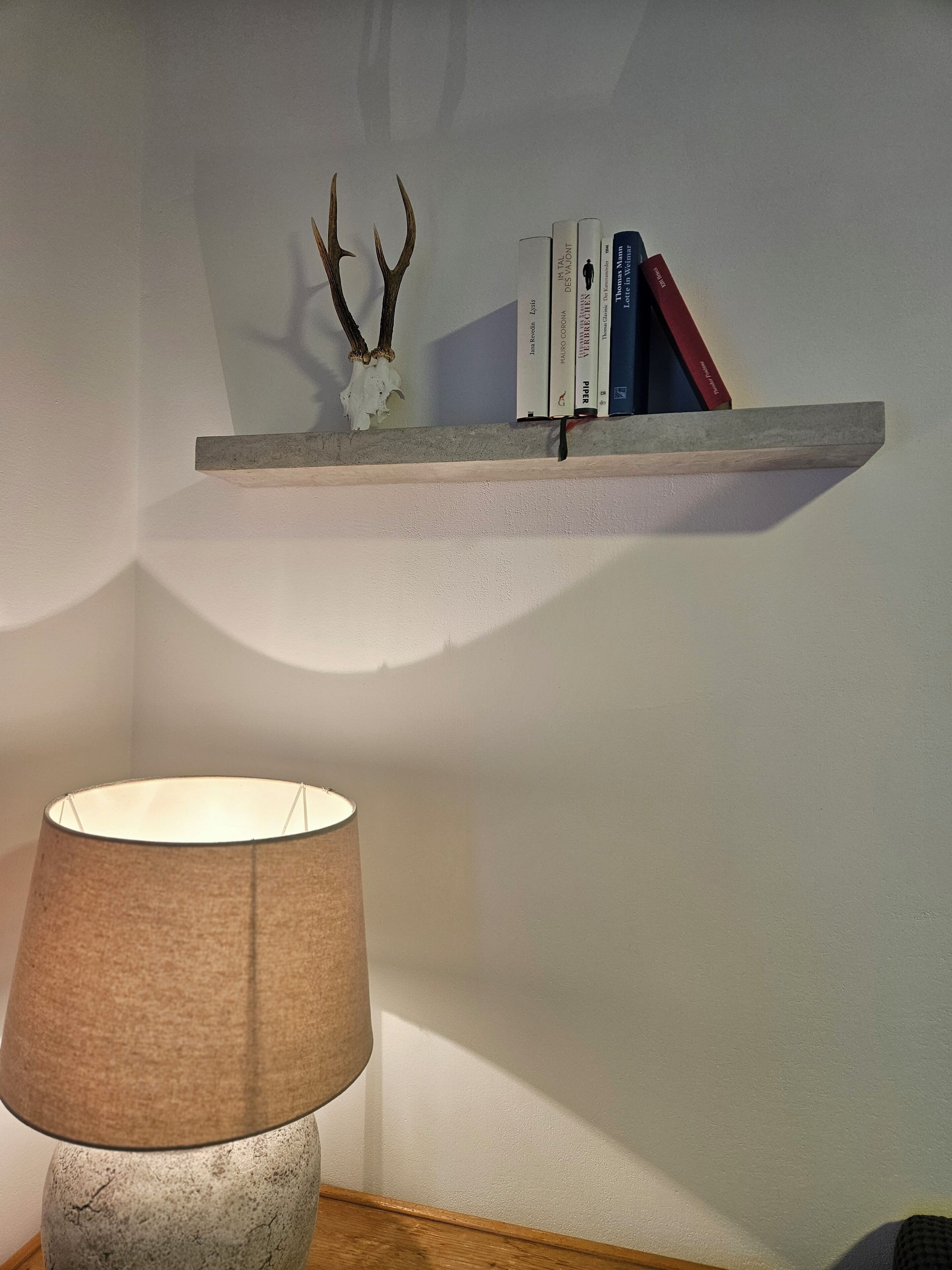 A lamp with a textured shade, a shelf with books and a deer skull, and a shadow on the wall.