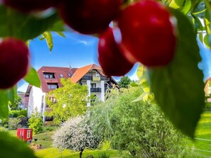 Ein Wohngebäude mit rotem Dach, umgeben von Grünflächen und einer kleinen roten Struktur.