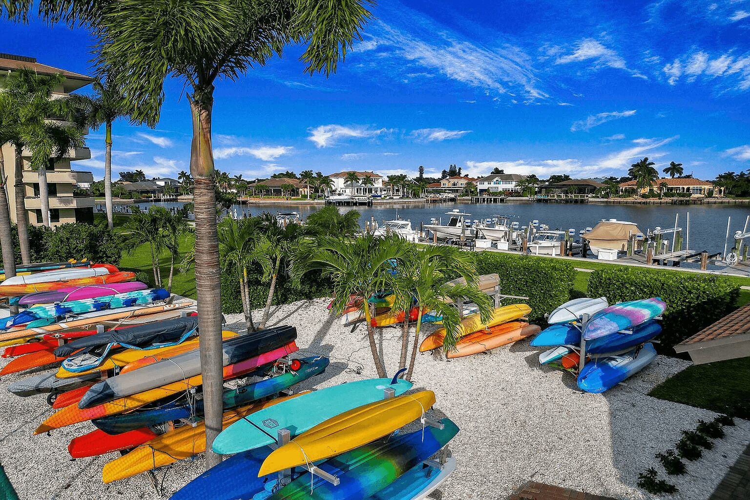 A marina with colorful kayaks and a clear view of the water and buildings in the background.
