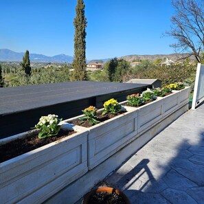 Property grounds - Alba Nueva II Terrace Plus Heated Poolside Apartment (Alhaurin de la Torre)