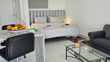 Apartment, 1 Bedroom, Accessible, Smoking