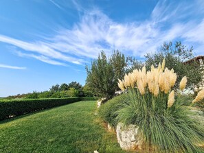 Terrain de l’hébergement 