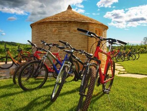 Property grounds - 5BR Luxury Villa, 5 Ensuite Baths, Pool & Sauna & Hot Tub (višnjan)