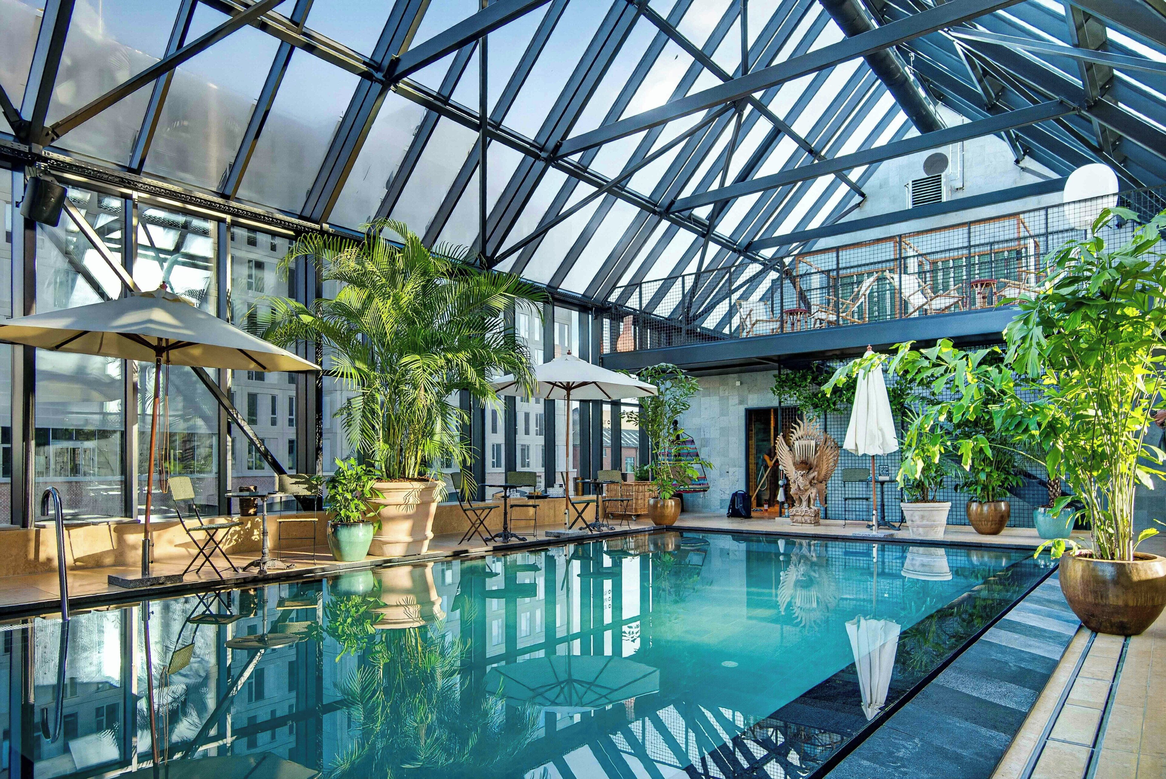 Una piscina interior con paredes de vidrio, rodeada de plantas en macetas y mobiliario de exterior.