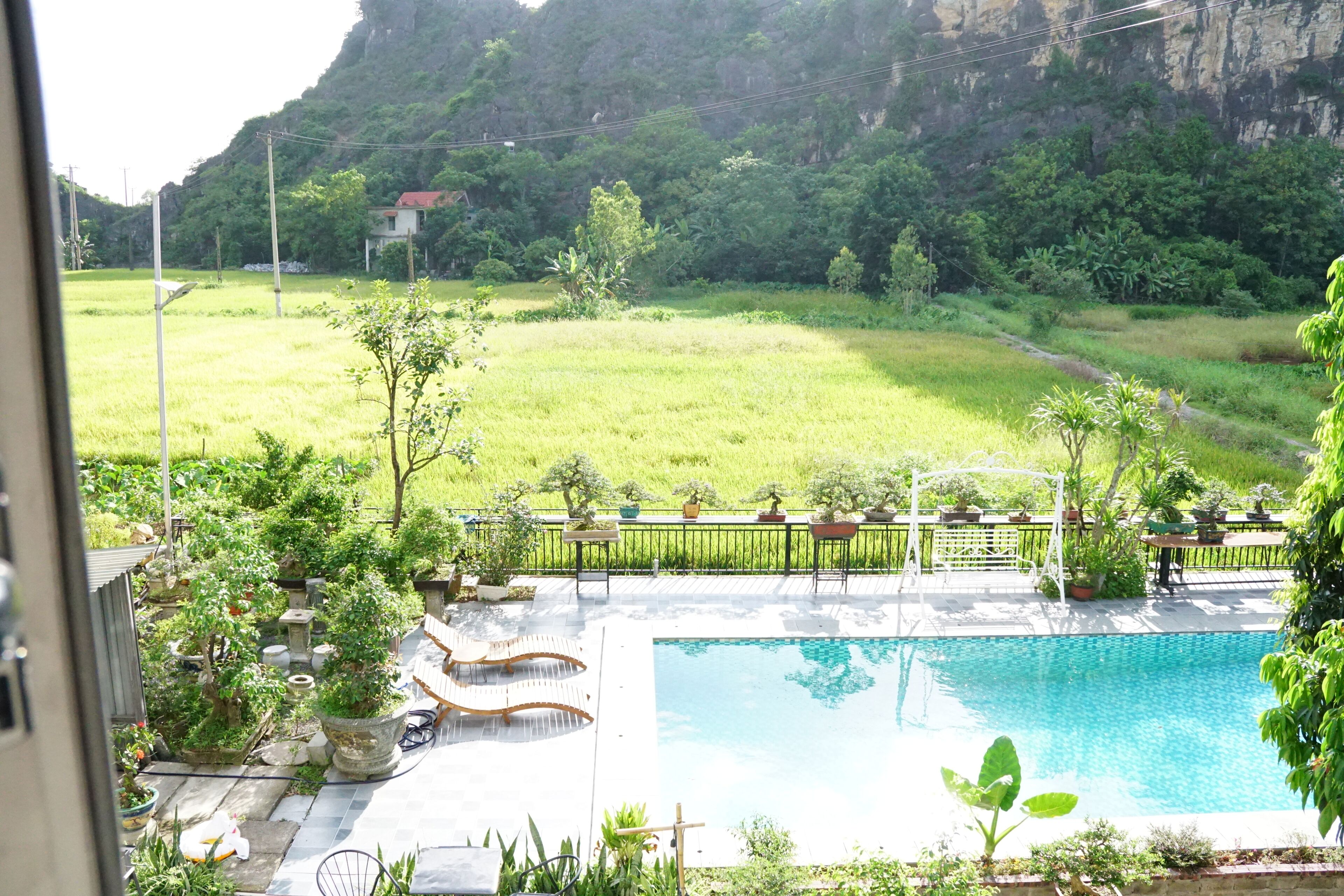 A swimming pool with a surrounding deck, a small garden area with potted plants, and a view of a green field and mountains in the background.
