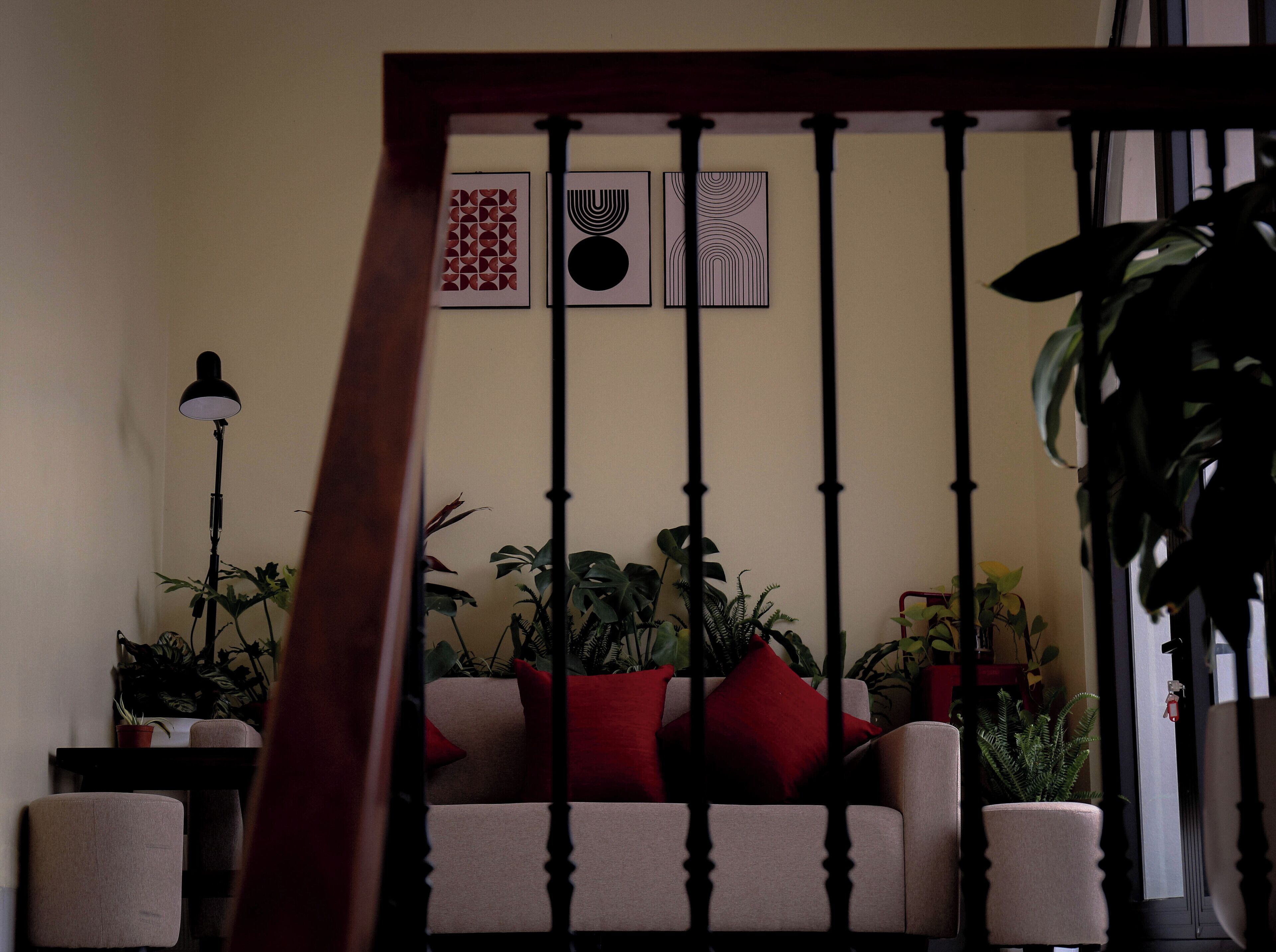 A living room with a sofa, red cushions, and multiple potted plants.