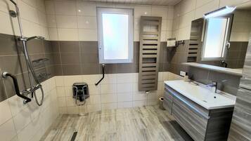 Shower, hair dryer