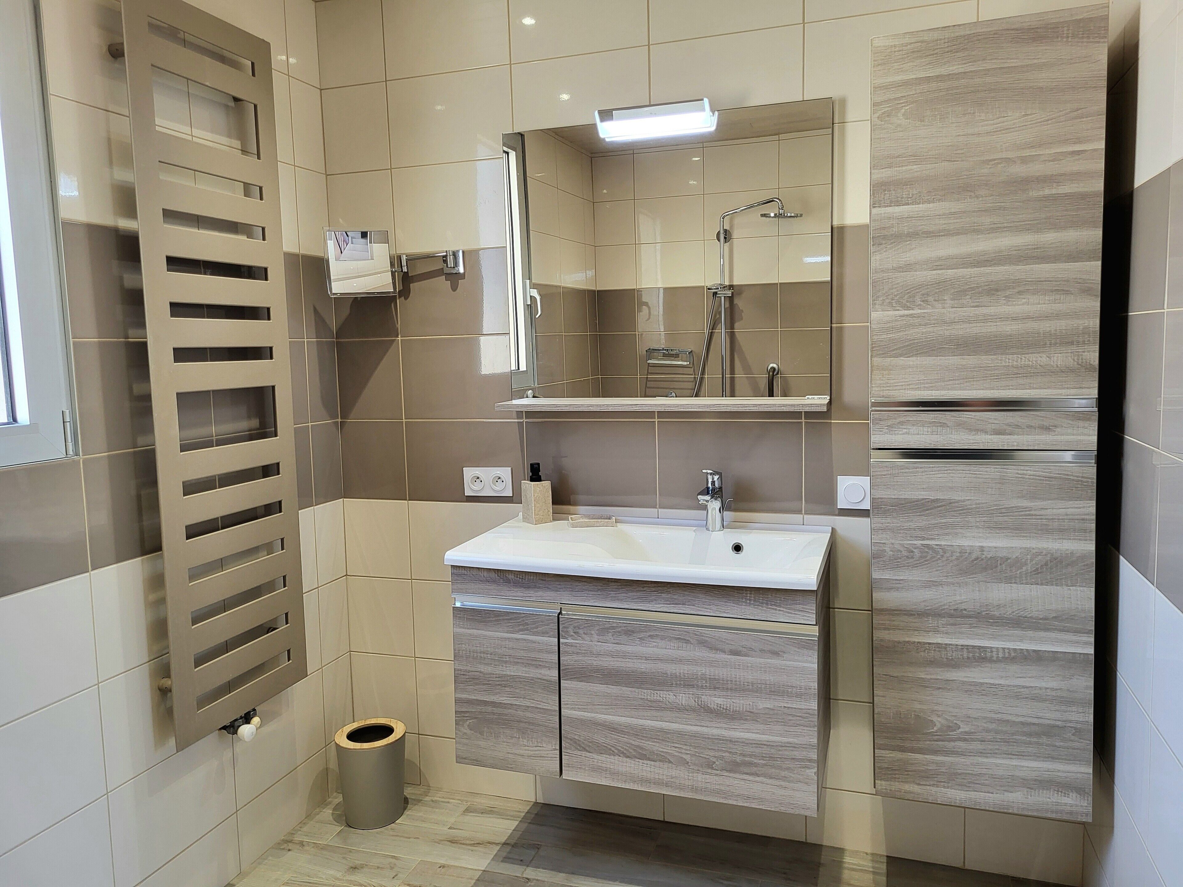 A modern bathroom with a vanity, sink, mirror, and shower.