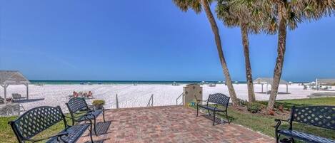 A beachside patio with benches, palm trees, and a view of the beach.
