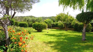 A lush garden with well-maintained grass, a variety of shrubs, and a stone wall. - Family Oasis: Pool and Garden - Baja Sardinia (Arzachena)