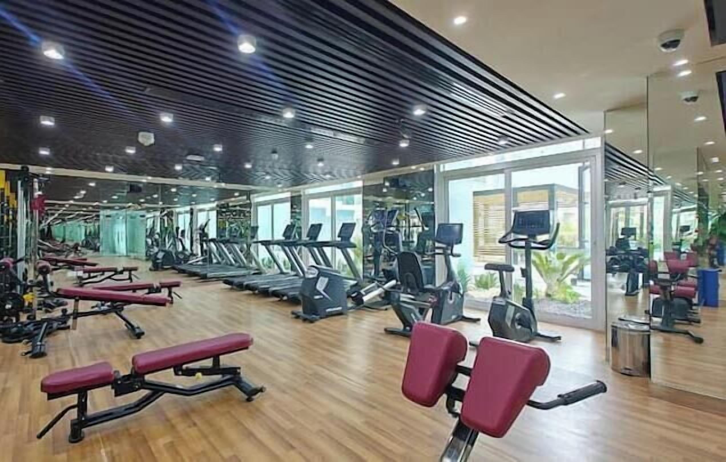 A gym with treadmills, elliptical machines, and weight benches.
