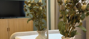 Terrace apartment | near the lake | climate | near Bremen