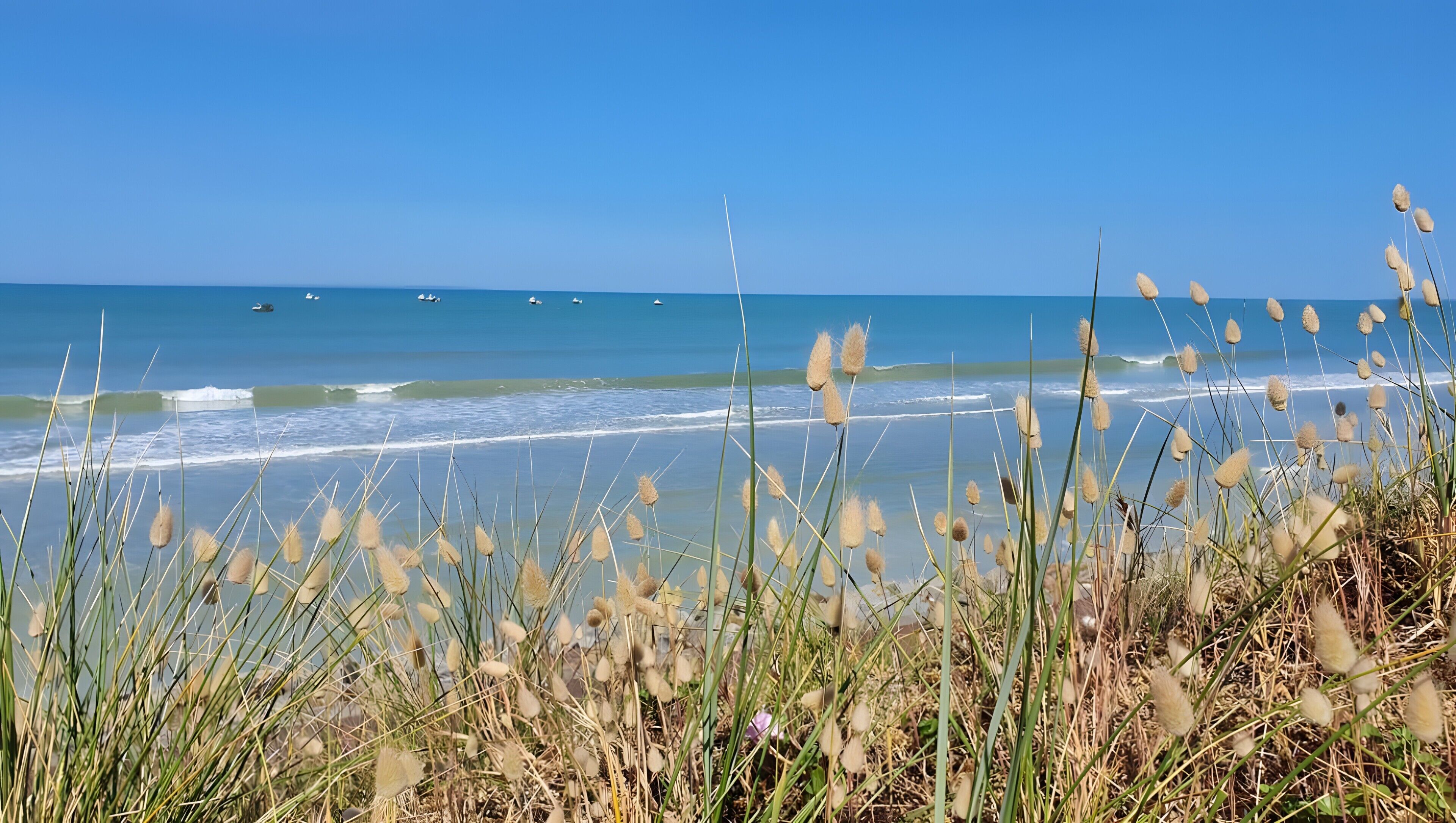 Vlak bij het strand