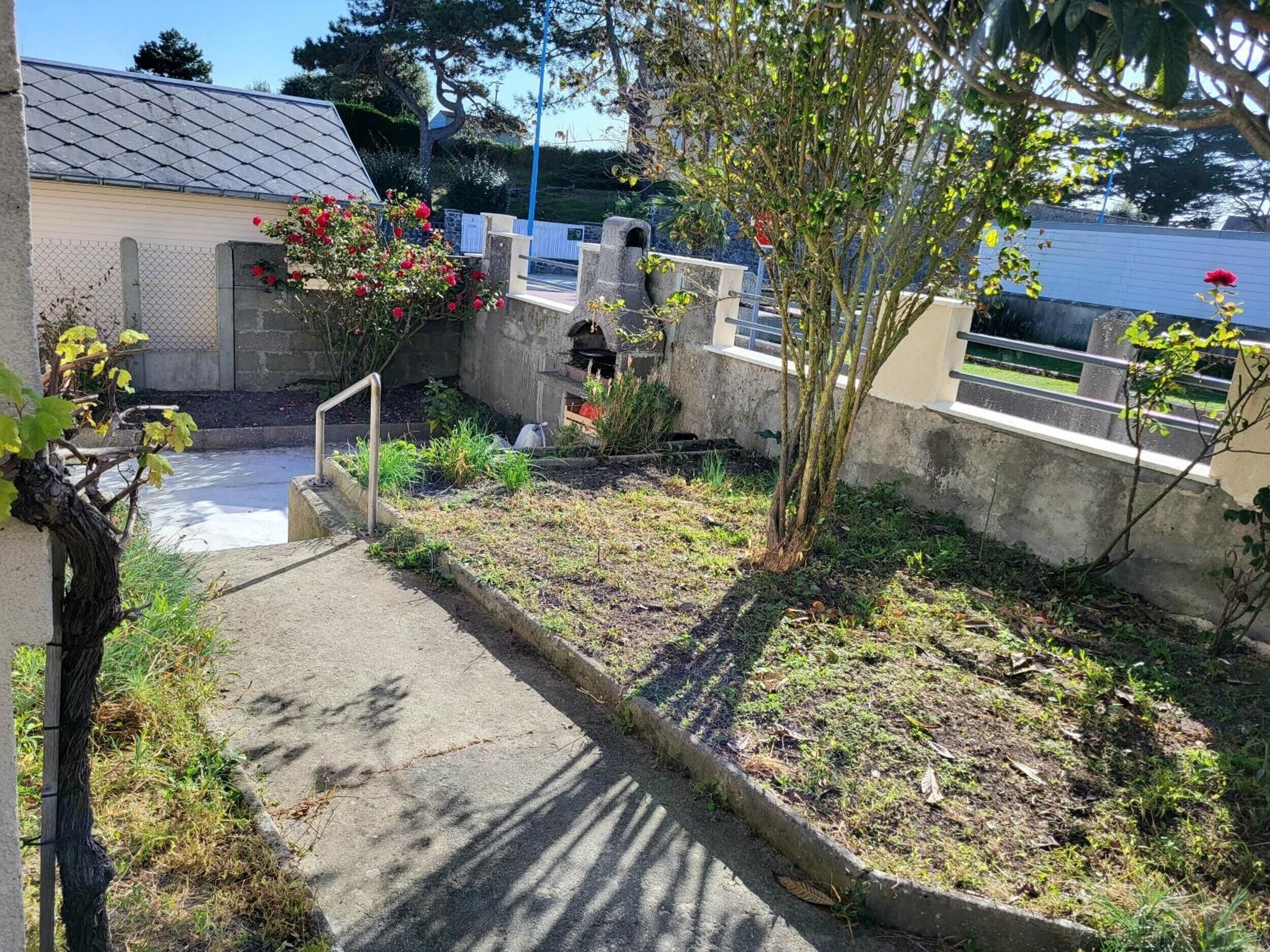 Un patio con un sendero de concreto, un árbol pequeño y un edificio con tejado de baldosas.