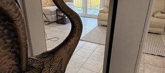 Stunning Mobile Bay views near Dauphin Island