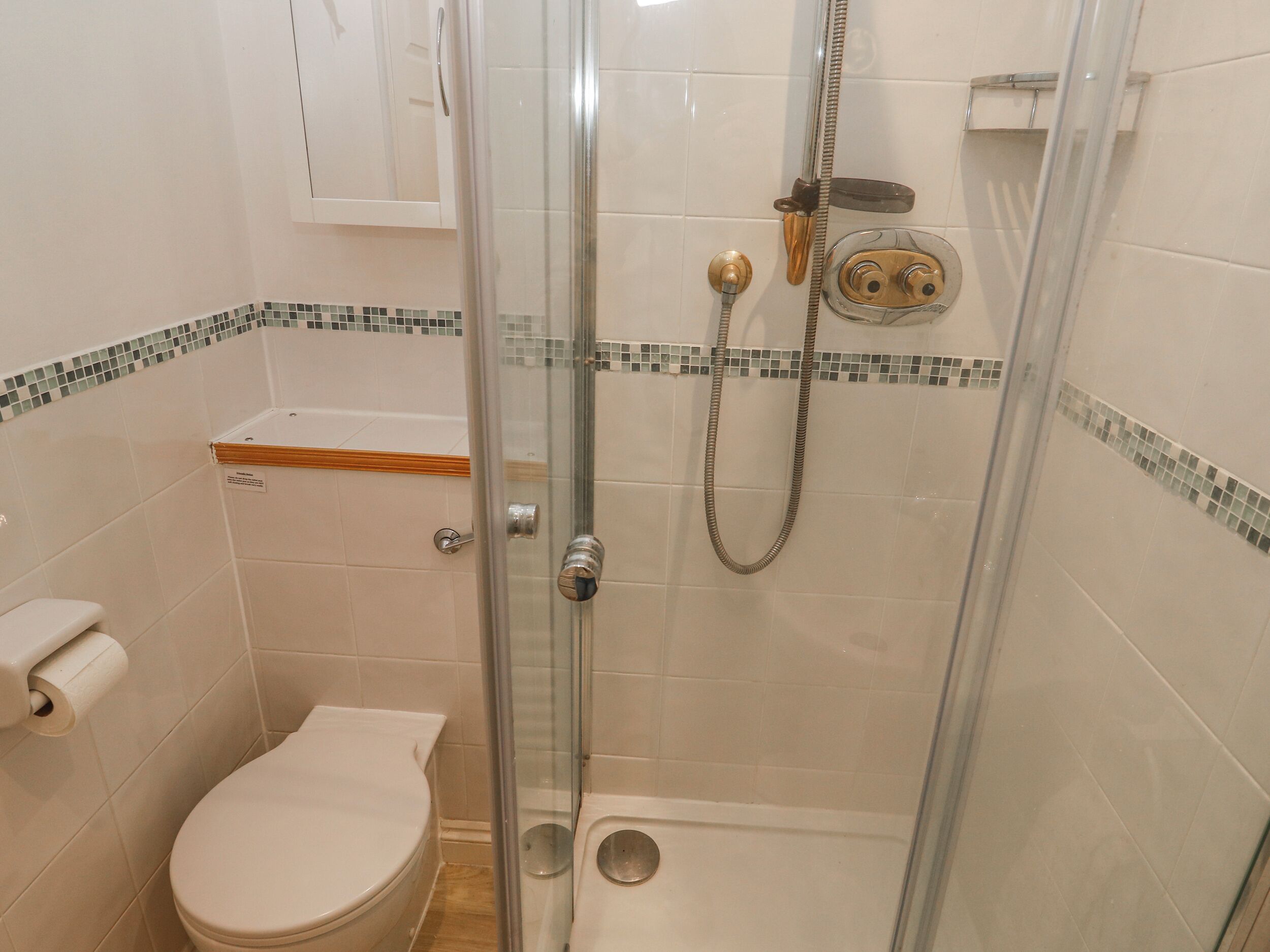A shower with a glass door, a toilet, and a towel rack.
